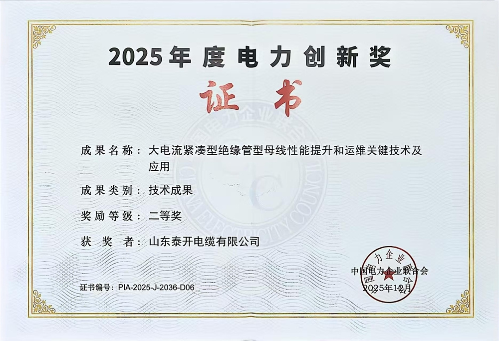 中國電力企業(yè)聯(lián)合會電力創(chuàng)新獎（大電流緊湊型絕緣管型母線性能提升及運維關(guān)鍵技術(shù)及應(yīng)用）